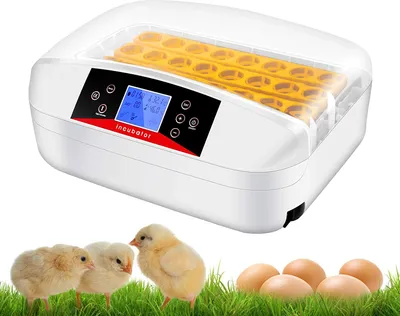 Image de Couveuse automatique pour jusqu'à 32 œufs de poule Couveuse à moteur Couveuse pour poules avec affichage de la température par LED et capteur de température précis, régulation de la température et de l'humidité