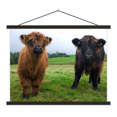 Produktbild von MuchoWow® Textilposter Schottische Highlander - Kühe - Natur - Grün - Gras 150x113 cm mit schwarzem Rahmen - Wohnzimmer