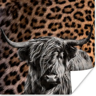 Produktbild von MuchoWow® Poster Schottischer Highlander - Kuh - Pantherdruck 75x75 cm - Wand Dekoration