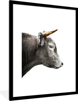 Produktbild von MuchoWow® Gerahmtes Poster Schottischer Highlander - Gold - Schwarz 60x80 cm - Poster mit Schwarzem Bilderrahmen Wandposter Rahmen Foto Bilder - Wohnzimmer - Dekorationen - Prämie