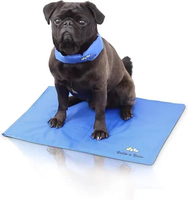 Produktbild von Famanu Kühlmatte für Hunde, Katzen und Haustiere - 40 x 50 cm