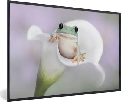Produktbild von MuchoWow® MuchoWow® Gerahmtes Poster Lilie - Frosch - Blume 90x60 cm - Poster mit zchwarzem Bilderrahmen - Fotorahmen - Foto-Plakat