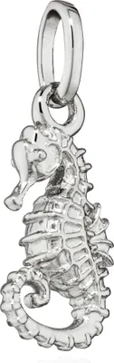 Produktbild von NKlaus Kettenanhänger Seepferdchen 925 Silber 15x7mm Seepferd Amulett Maritim 15372