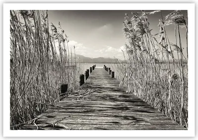 Produktbild von Poster - Poster ohne Rahmen - Brücke Pier Sepia - 100x70 cm - Wand Bild - Wanddeko - Wandbilder - Kunstposter - Wandposter - Bilder - Kunstdruck - Wanddekoration - Wandbild - P2XAA100x70-4928