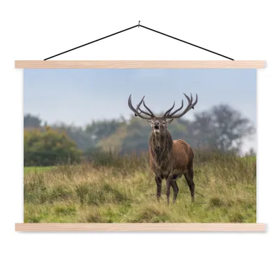Produktbild von MuchoWow® Textilposter Hirsche - Geweihe - Gras 60x40 cm mit holzfarbenen Rahmen - Bilder