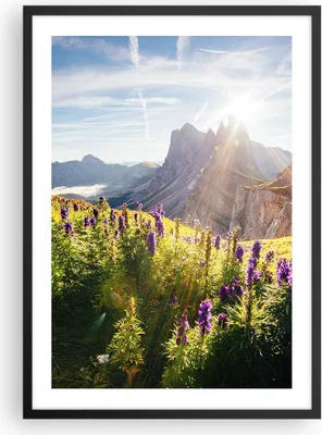 Produktbild von Gerahmtes Poster - Schwarzer Rahmen - Berge Wiese Blumen - 50x70 cm - Wand Bild - Wanddeko - Wandbilder - Kunstposter - Wandposter - Bilderrahmen - Bilder - Kunstdruck - Wandbild - P2BPA50x70-4008