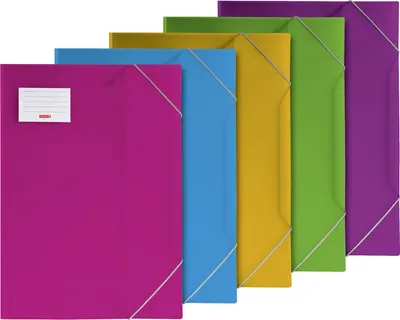 Produktbild von BRUNNEN Sammelmappe A3 FACT! sortiert