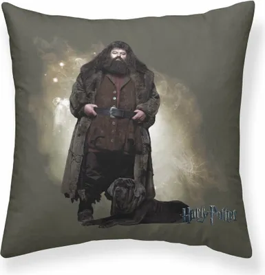 Zdjęcie produktu dla Poszewka na poduszkę Harry Potter Hagrid 50 x 50 cm