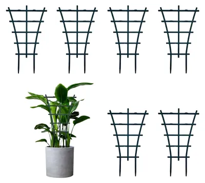 Produktbild von 6 Stück Rankhilfe für Zimmerpflanzen und Gartenpflanzen