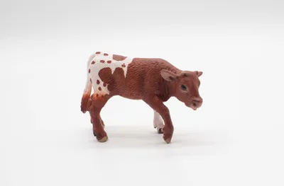 Produktbild von SCHLEICH 13684 Texas Longhorn Kalb
