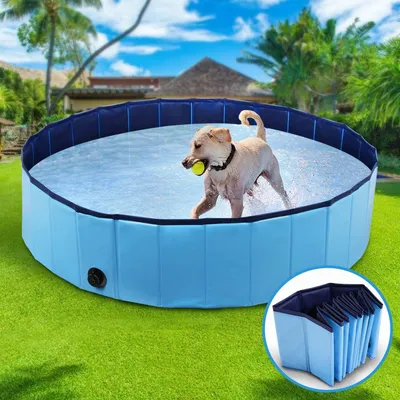 Produktbild von Schwimmbad, Hundepool, Hundebad, 160 x 30 cm zusammenklappbares Haustier-Duschbecken, rutschfestes, umweltfreundliches PVC (blau, 160 x 30 cm)