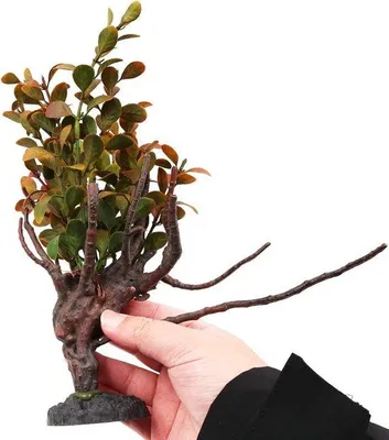 Image de Décoration d'aquarium : plantes artificielles de 26 cm - Décorations aquatiques en plastique d'aspect naturel avec un aménagement paysager réaliste