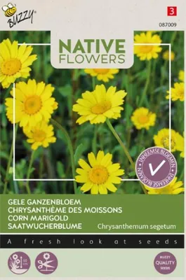 Produktbild von Saatwucherblume | Wucherblumensamen von Buzzy Seeds