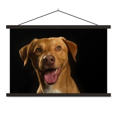 Produktbild von MuchoWow® Textilposter Hund - Haustiere - Porträt 150x100 cm mit schwarzem Rahmen - Schlafzimmer