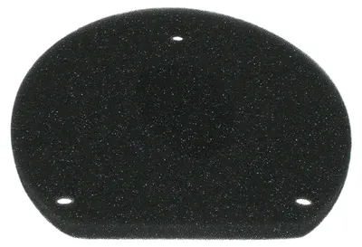 Immagine prodotto di Filtro aria MEIWA Y4192