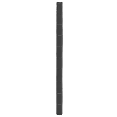Immagine prodotto di Velo per erbacce nero 2x50 m PP