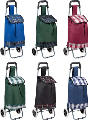 Produktbild von Farbige Einkaufswagen 31L 89X34X28Cm