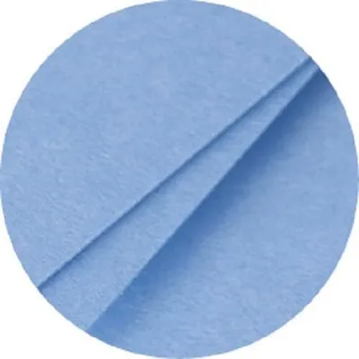 Obrázek produktu pro Clairefontaine Pollen, Laserový/inkoustový tisk, A4 (210x297 mm), 25 listy, 210 g/m², Modrá, Forest Stewardship Council (FSC) Mix