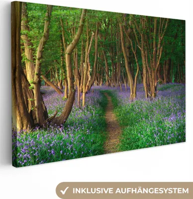 Produktbild von OneMillionCanvasses® - Leinwandbilder - 150x100 cm, Wald - Weg - Blumen, Wandbilder Kunstdruck Wanddekoration