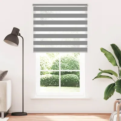 Image de Vidaxl Duo Store à rouleau 120 x 230 cm Grau