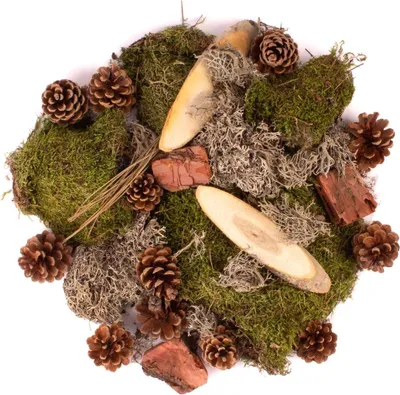 Produktbild von INNA-Glas Dekomoos QUIKISA, Zapfen, Holz, Flechten, grün-braun, 500g - Natur Streudeko