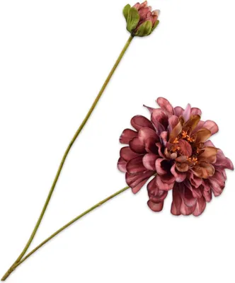 Produktbild von Silk-ka Kunstblume - Seidenblume Zinnienzweig braun-pink 62cm
