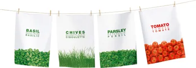 Produktbild von ASA Geschirrtuch PETERSILIE 73115065