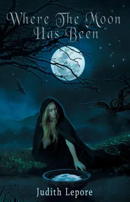 Produktbild von Where the Moon Has Been