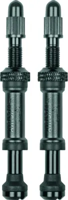 Image de Valve de rechange AIRSPY TL 60mm