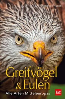 Immagine prodotto di BLV Greifvögel & Eulen