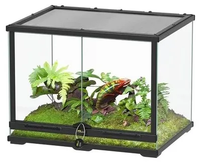 Productafbeelding van TerrAtlantis Terrarium Smart Line 60 x 45 x 45 cm zwart | glasterrarium voor reptielen en amfibieën