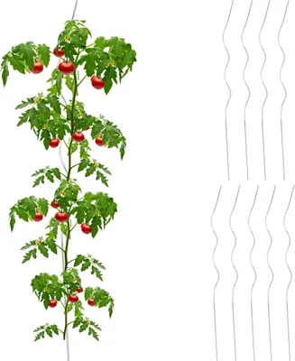 Immagine prodotto di Relaxdays Tiri a spirale per pomodori, set da 10, supporti per pomodori in acciaio zincato, tiri per pomodori, Ø 5 mm, lunghezza 90 cm, argento