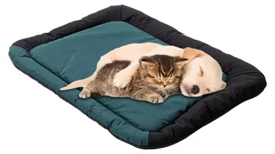 Immagine prodotto di Cuccia per cani, cuscino confortevole per canile