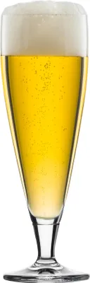 Obrázok produktu pre Eisch SUPERIOR SENSISPLUS Pivný pohár