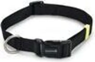Produktbild von Beeztees Uni - Hundehalsband - schwarz - 48-70 cm x 25 mm