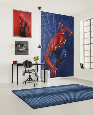 Produktbild von Komar Vlies Fototapete - Marvel Spider-Man Spider Web - Größe 150 x 250 cm
