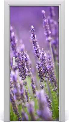 Produktbild von Tulup Türaufkleber 95x205 cm Dekorative Aufkleber Selbstklebend Wasserdichte Tapete Abnehmbar Schlafzimmer Wohnzimmer Wohnkultur - Lavendelfeld