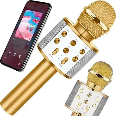 Obrázek produktu pro Bezdrátový karaoke mikrofon Gold s audio kabelem a efekty