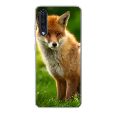 Produktbild von MuchoWow® Handyhülle Schutzhülle Hülle für Samsung Galaxy A50 Fuchs - Licht - Gras Silikon Softcase Handy Hülle - Mobiltelefonhülle