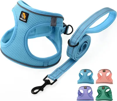 Immagine prodotto di Pettorina step-in riflettente e traspirante per cani e gatti di piccola taglia, blu, XXS