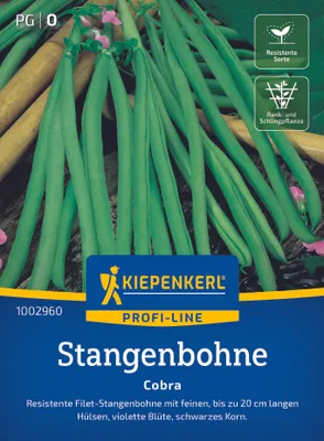 Produktbild von Kiepenkerl Stangenbohnensamen Cobra Phaseolus vulgaris 15-20 Stangen