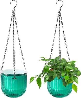 Produktbild von Famanu Pflanzenhänger Selbstbewässernd - 165 cm, Transparent