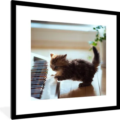 Produktbild von MuchoWow® Gerahmtes Poster Katze - Tier - Kätzchen 40x40 cm - Poster mit Schwarzem Bilderrahmen Wandposter Rahmen Foto Bilder - Poster - Plakat im Rahmen