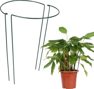 Immagine prodotto di Supporto ad anello, supporto in metallo, supporto per piante da fiore, 60cm 2pz.