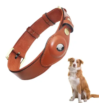 Produktbild von Halsband für Hunde mit AirTag-Halterung, verstellbare Größe