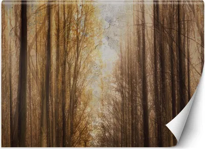 Produktbild von Vlies fototapete Herbst Waldbäume 400x280 cm Feeby Orange inkl. Kleber einfache Montage