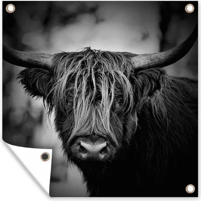 Produktbild von MuchoWow® 100x100 cm Outdoor-Poster Gartendeko Sichtschutz Garten Poster für den Garten  Schottischer Hochländer - Licht - Porträt - Natur