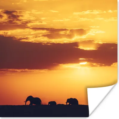 Produktbild von MuchoWow® Poster Elefantenherde bei Sonnenuntergang 75x75 cm - Wand Dekoration