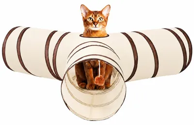Produktbild von Katzentunnel Spieltunnel Katzenspielzeug - 3-Wege - Faltbar - Mit Sichtfenstern
