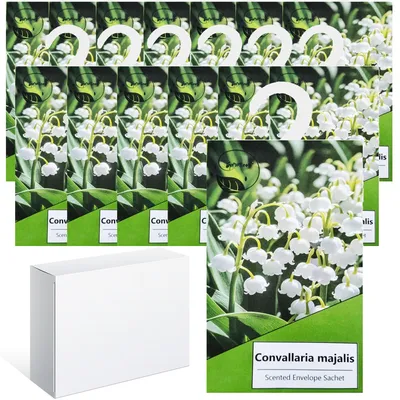 Image de Sachets parfumés à la lavande, 14 pièces, pour vêtements et voiture, désodorisants